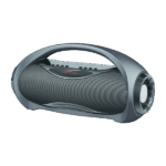 Fusce ullamcorper dapibus